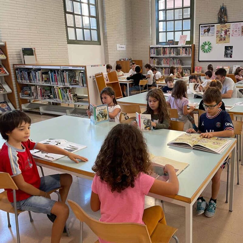 Escola Mowgli - Escola Catalana